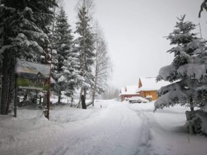 received 4898110276928005